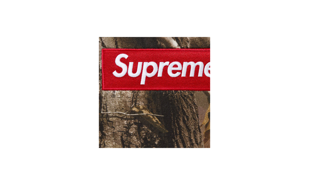 Box Logo Hooded Sweatshirt "FW25 - Realtree¬Æ AP Camo" SU26703