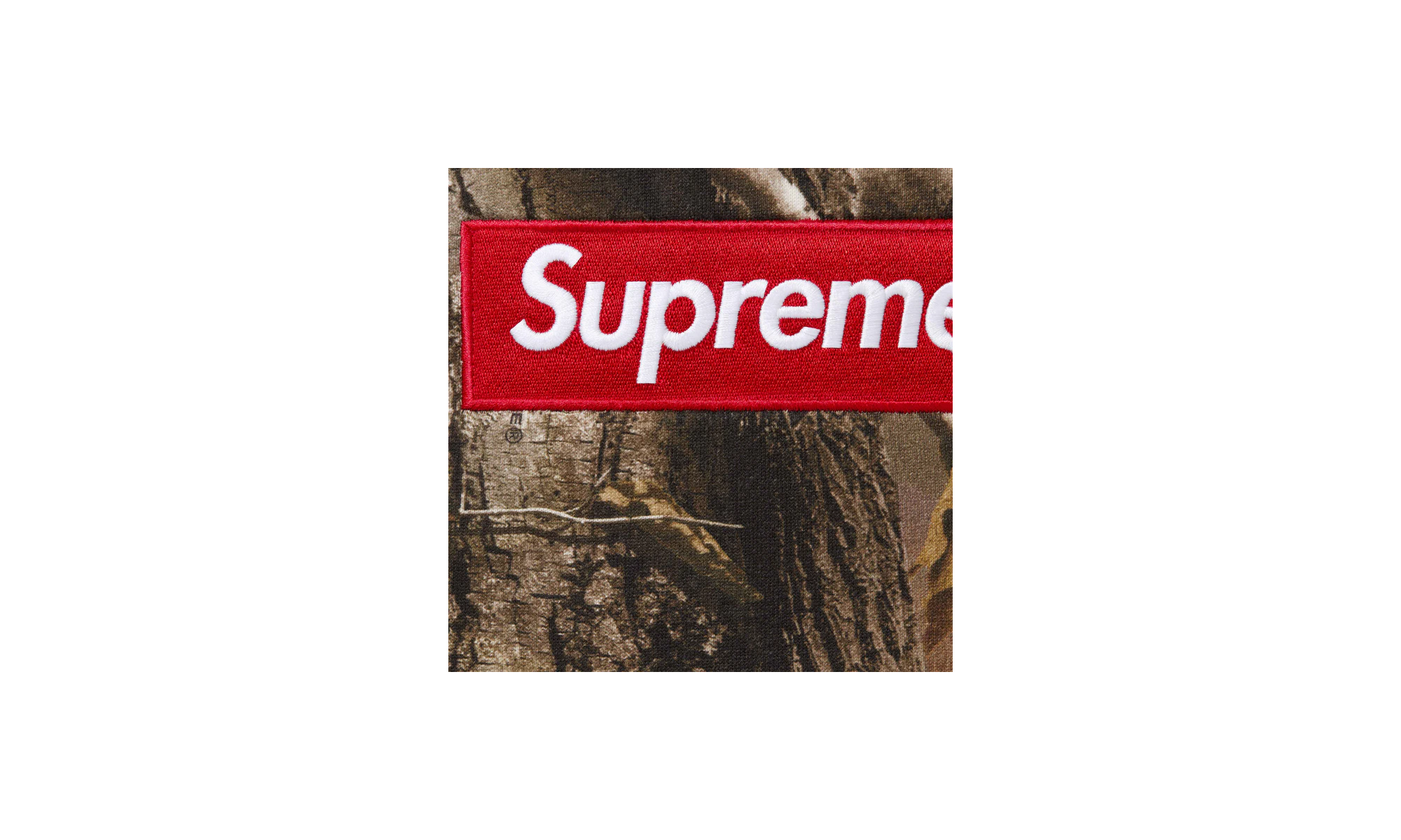 Box Logo Hooded Sweatshirt "FW25 - Realtree¬Æ AP Camo" SU26703
