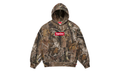 Box Logo Hooded Sweatshirt "FW25 - Realtree¬Æ AP Camo" SU26703