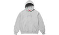 Box Logo Hooded Sweatshirt "FW24 Heather Grey" SU927